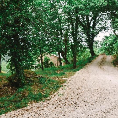 ארצו Parulia Country House מראה חיצוני תמונה