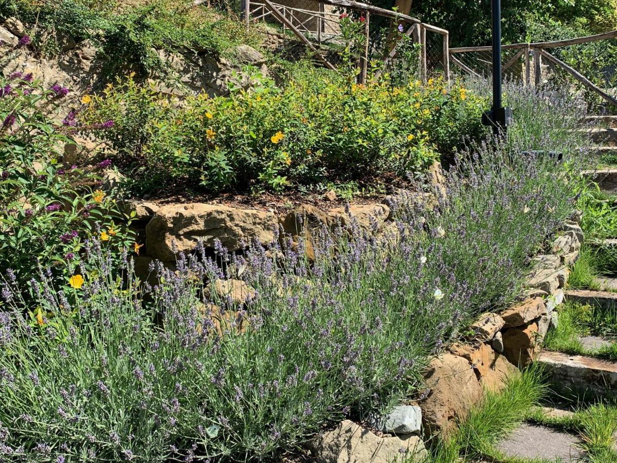 ארצו Parulia Country House מראה חיצוני תמונה